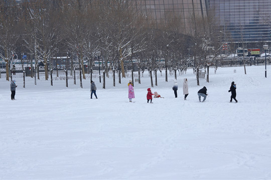 雪后游玩