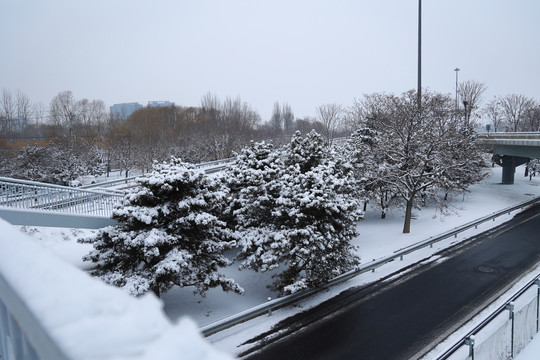 雪后风光