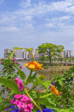 安平桥古迹风景