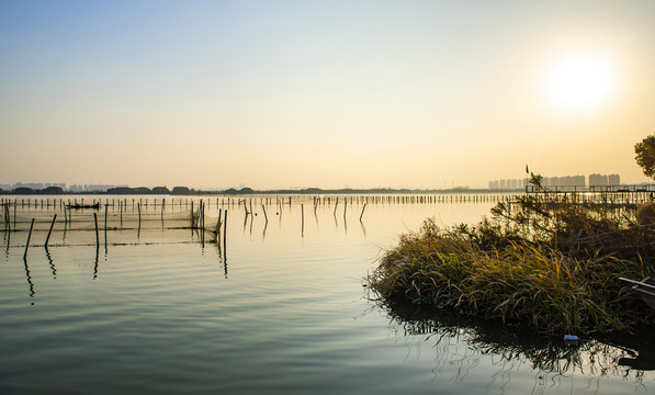 绍兴湿地淡水养殖