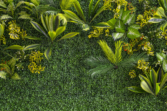 绿色植物背景墙