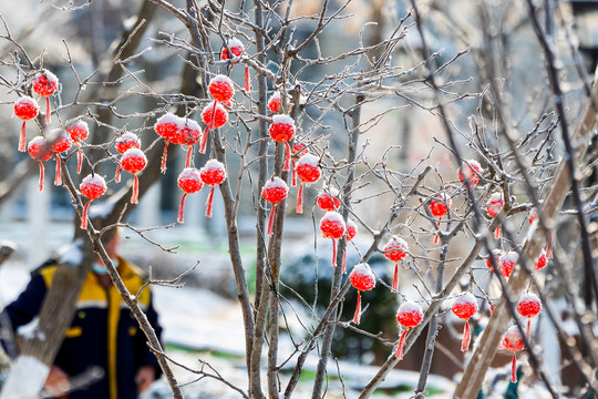 雪中红灯笼