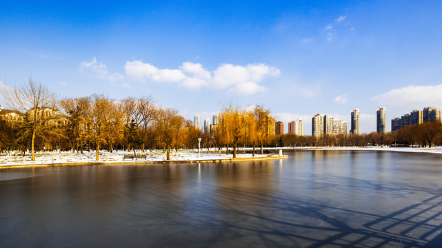 雪后的泰丰公园