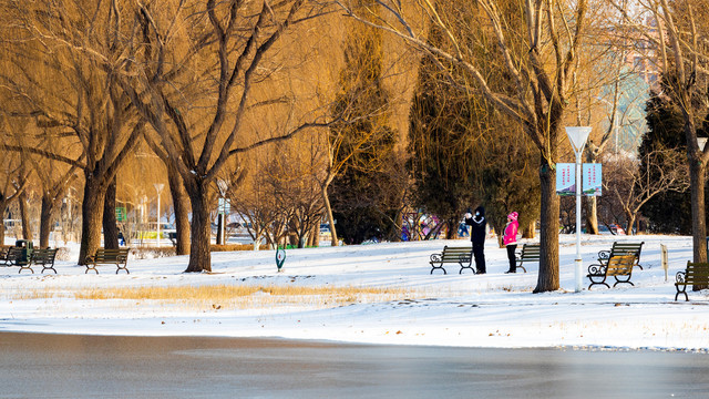 雪后的泰丰公园