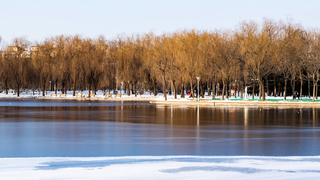 雪后的泰丰公园