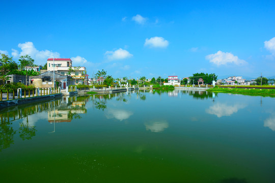 水塘风景