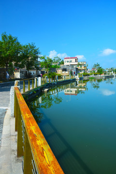 水塘风光