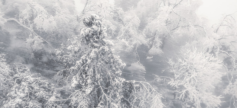 瓦屋山雪景