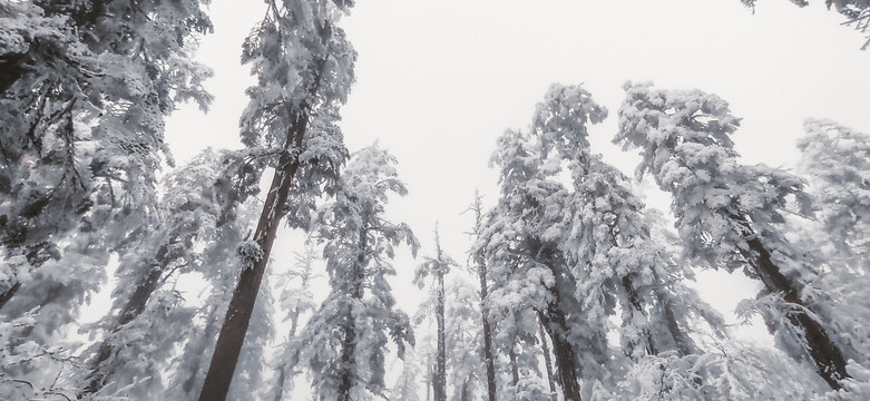 瓦屋山雪景