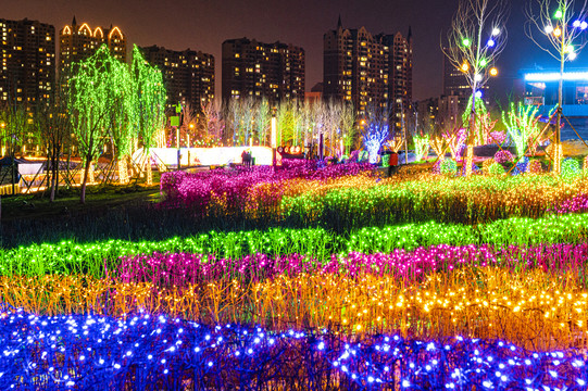 南溪湿地公园夜景