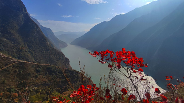 三峡红叶