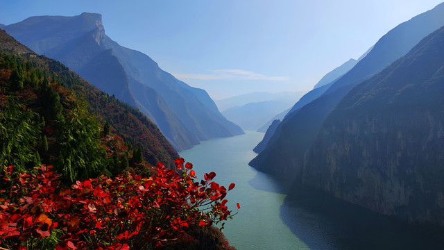 三峡红叶