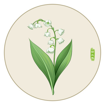 鈴蘭花