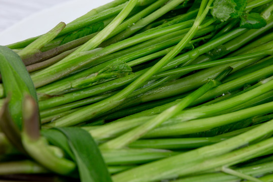 新鲜蔬菜水芹菜