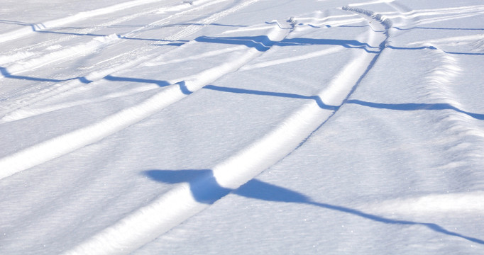 雪地