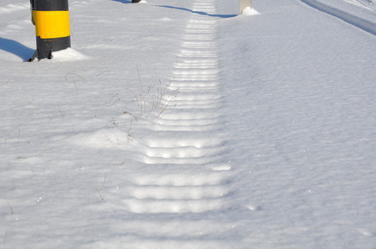 雪
