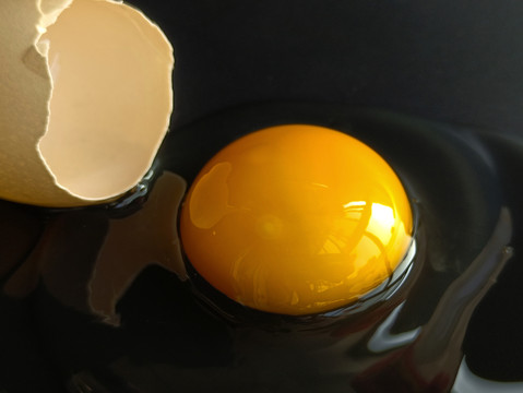 素材蛋清蛋黄