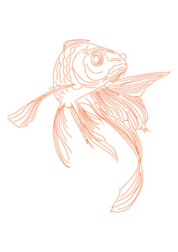 大金魚線稿