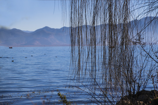 早晨的泸沽湖