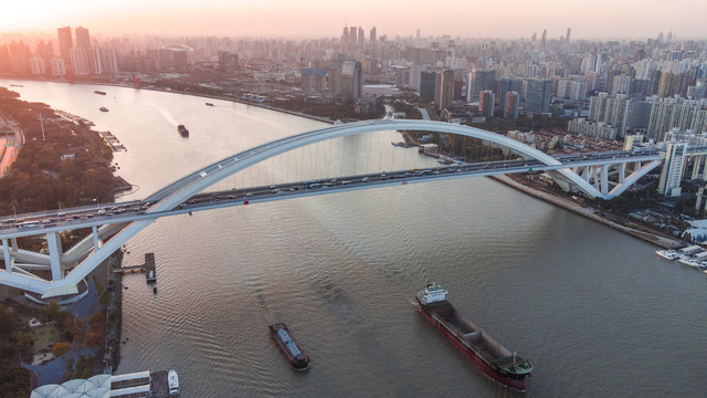 卢浦大桥日落