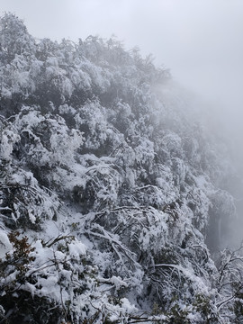 冰雪树林雾凇