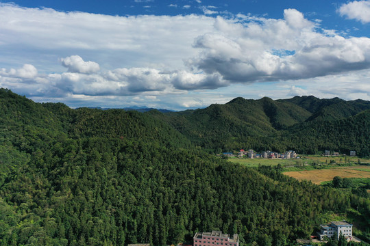 三湾改编风景区