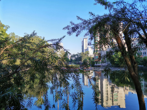 午后秋中湖一景