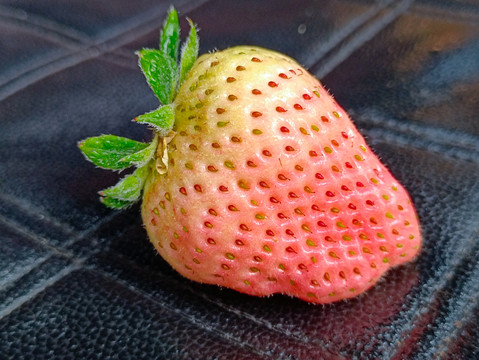 静物白草莓