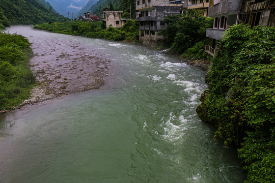 宜恩伍家台村茶山