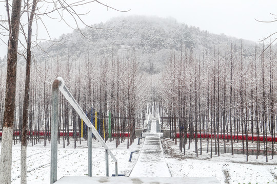 高山雪景