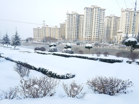 城市雪景