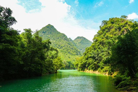 贵州茂兰国家级自然保护区