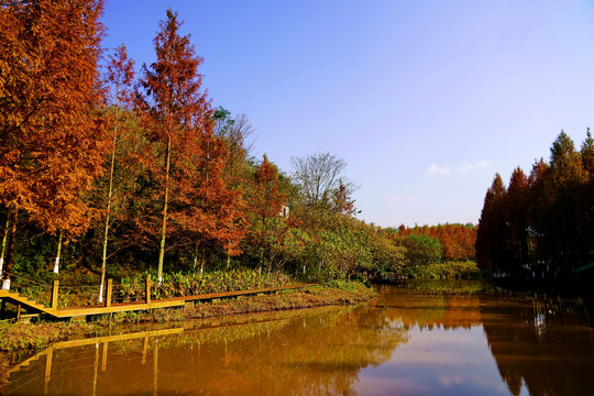 九曲河湿地秋景