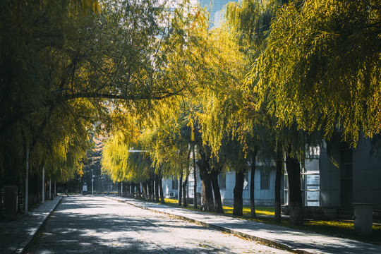 吉林医药学院校区