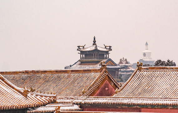 北京故宫的雪景