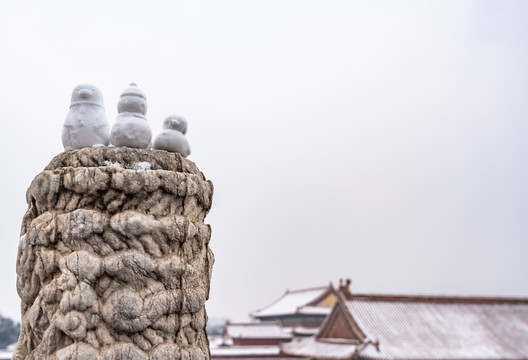 北京故宫的雪景