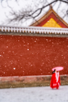 北京故宫的雪景