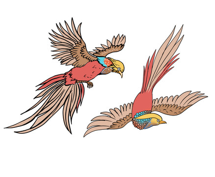传统鸟类锦鸡手绘