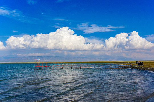 青海湖风光