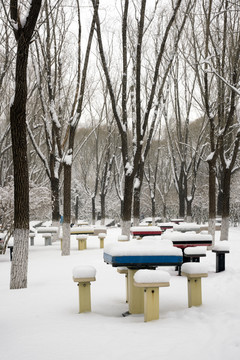 冬季雪景