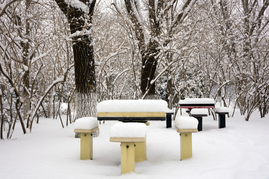 公园雪景