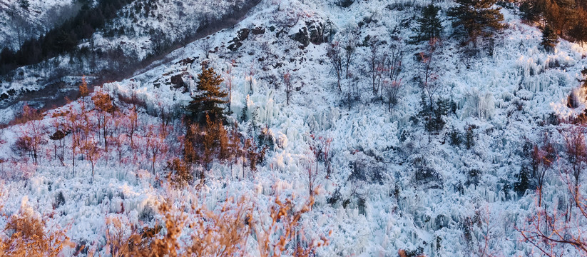 雪景