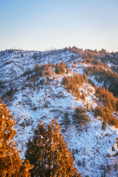 雪景