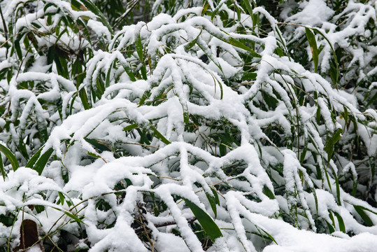 雪山雪景白雪飘飘雪花