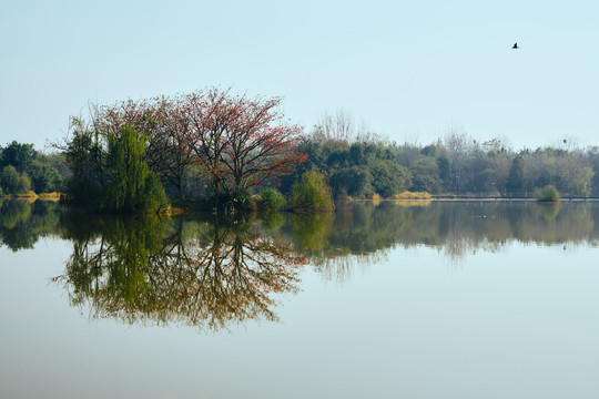 西昌邛海湿地公园