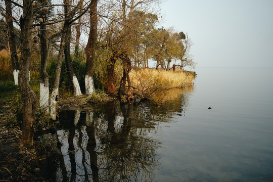 西昌邛海湿地公园