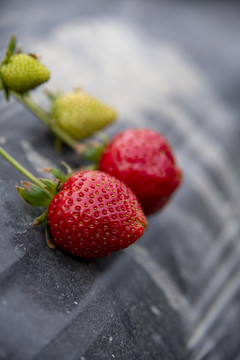 农场里的草莓