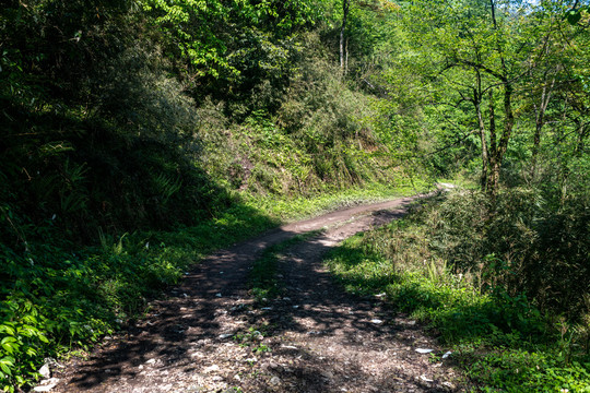 山区烂泥路