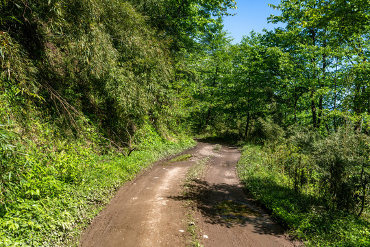 烂泥路土路