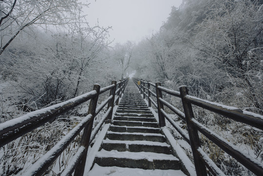 老君山的雪